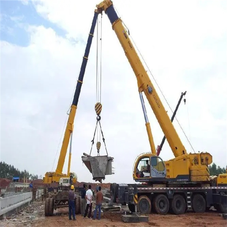 湖南小型吊机出租电话|厂房设备吊装方案|24小时服务覆盖